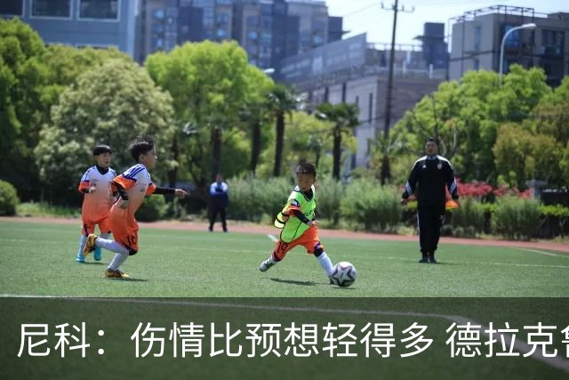尼科：伤情比预想轻得多 德拉克鲁兹没道歉但我不在乎